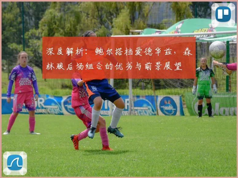 深度解析：鲍尔搭档爱德华兹，森林狼后场组合的优劣与前景展望